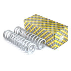 Пружина підвіски ВАЗ 2108-09, 2113-14 задні (к-т 2шт) купити дешево