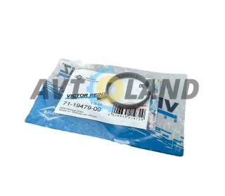 Ущільнювач дросельної заслінки ВАЗ 2170 з електронною педаллю