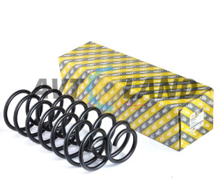 Пружина подвески Chevrolet Aveo задние(к-т 2шт), OEM