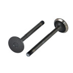 Клапан ГРМ ВАЗ 2108-099, ГАЗ, УАЗ дв. ЗМЗ 406 випуск (4 шт.) (Азотований) OEM купити дешево