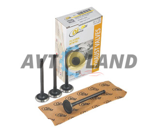 Клапан ГРМ Daewoo Lanos, 1.5 8V випуск (к-т 4 шт.) (Азотований) OEM