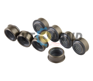 Сальник клапана Daewoo Lanos, Nexia, Espero 1.5 SOHC (FPM) (к-т 8 шт.) ASR