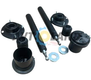 Амортизатори передні в зборі Ланос, Сенс  (к-т 2шт) FLAGMUS