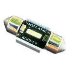 Діод салону-12/24-вольта-1 SMD(7020)-CANBUS-31mm купити дешево