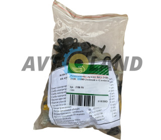 Ремкомплект кузова ВАЗ 2108, 2109, 21099 (полный к-т) клипсы, Pegas