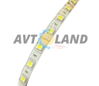 Лента Светодиодная-5 метров-300SMD-IP67-(5050)-12вольт-Белая