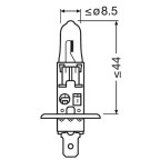 Лампа Osram H1 12V Original Line P14.5s галогенная купить недорого