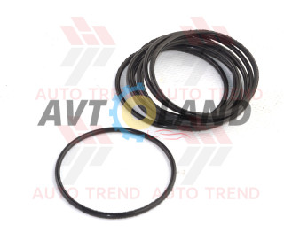 Кольцо уплотнительное модуля зажигания Daewoo Lanos, Chevrolet Aveo, Tacuma